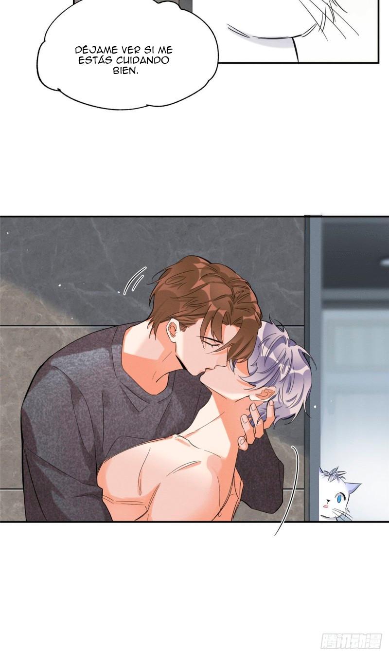Tengo que trabajar duro para ser un gato hoy! - capitulo 38 manhwa