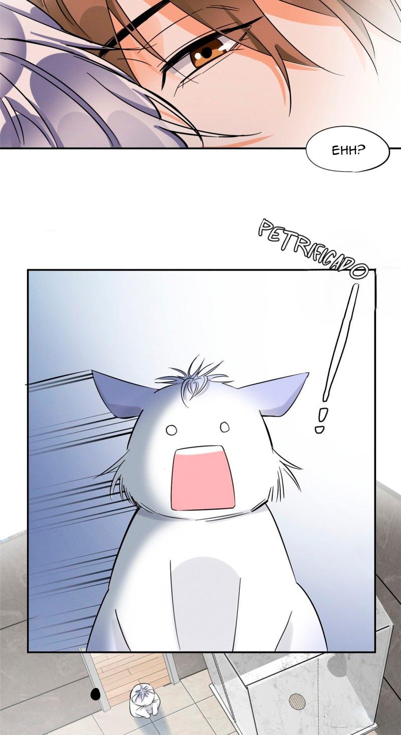 Tengo que trabajar duro para ser un gato hoy! - capitulo 38 manhwa