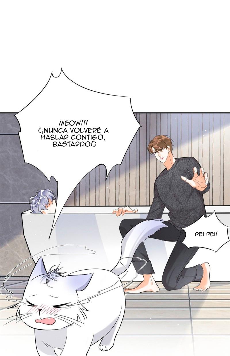 Tengo que trabajar duro para ser un gato hoy! - capitulo 38 manhwa