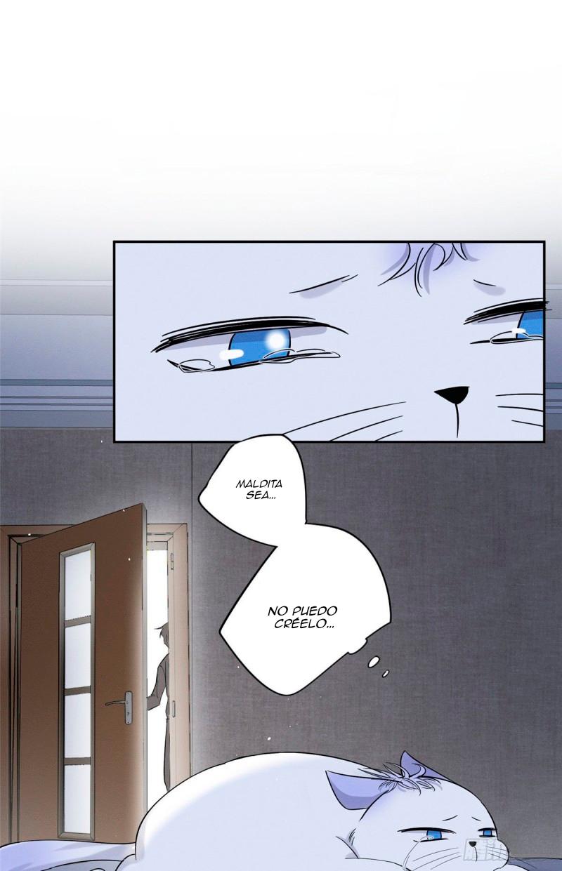 Tengo que trabajar duro para ser un gato hoy! - capitulo 38 manhwa