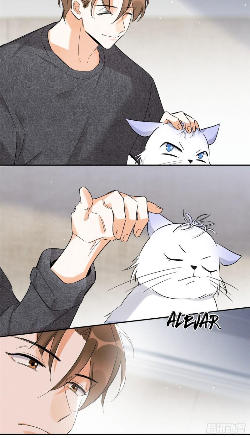 Tengo que trabajar duro para ser un gato hoy! - capitulo 38 manhwa