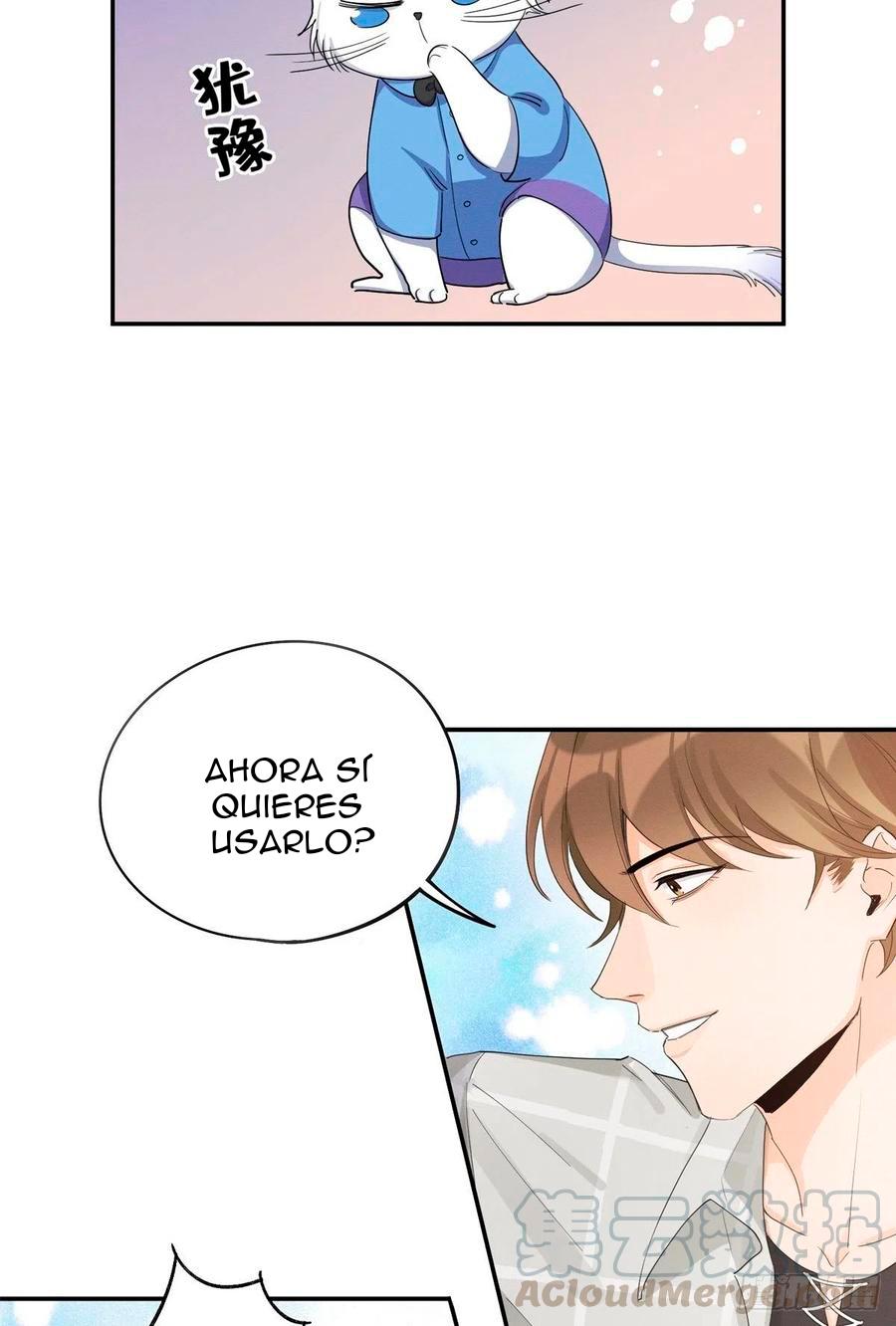 Tengo que trabajar duro para ser un gato hoy! - capitulo 15 manhwa