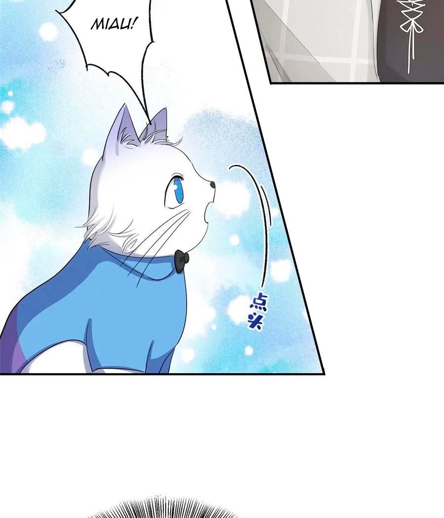 Tengo que trabajar duro para ser un gato hoy! - capitulo 15 manhwa