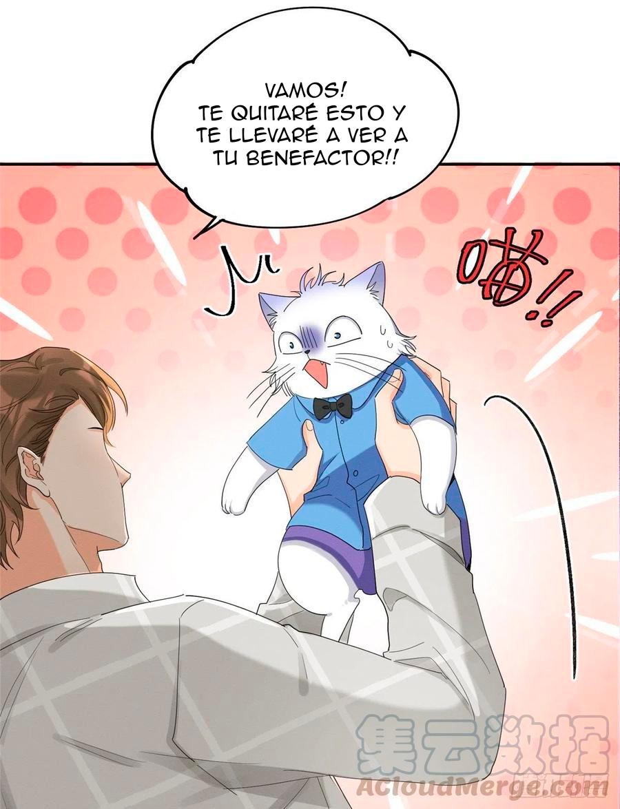 Tengo que trabajar duro para ser un gato hoy! - capitulo 15 manhwa