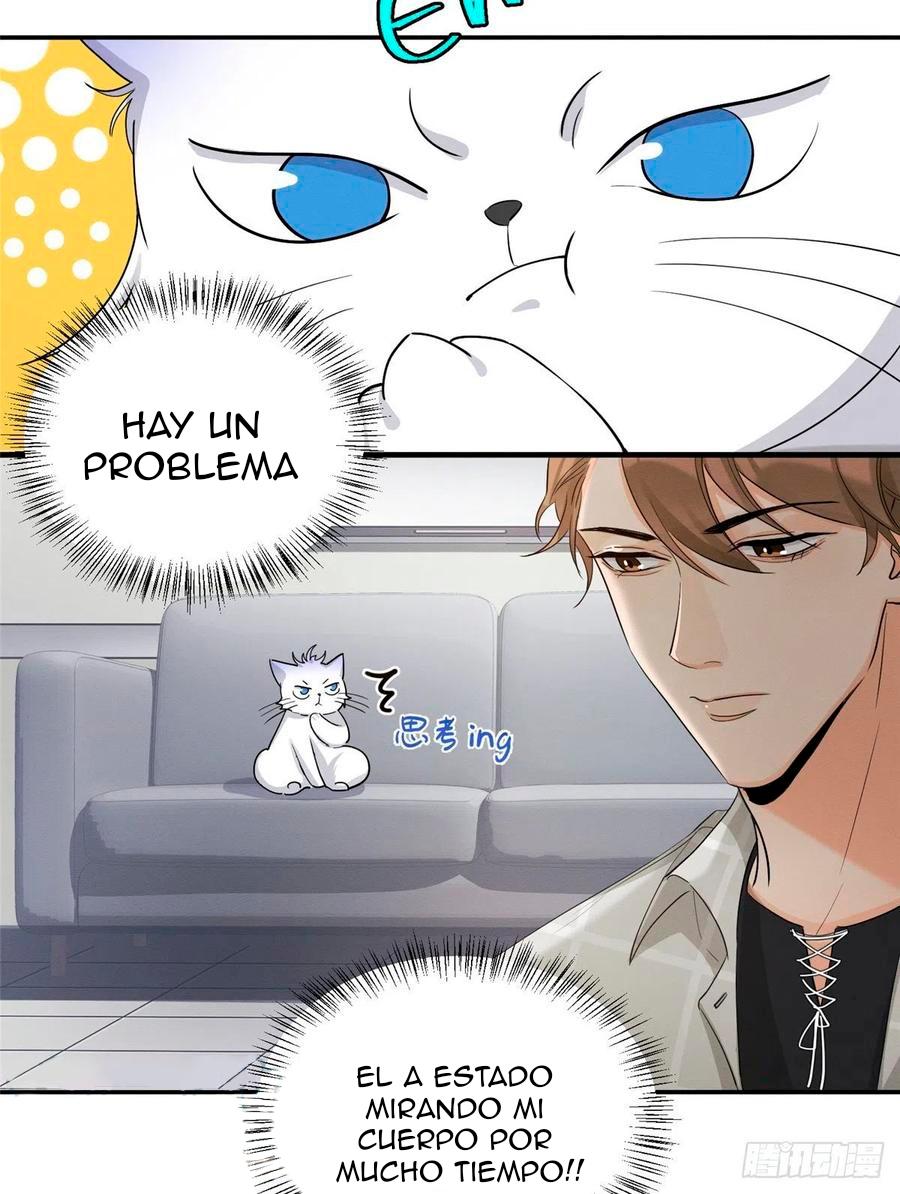Tengo que trabajar duro para ser un gato hoy! - capitulo 15 manhwa