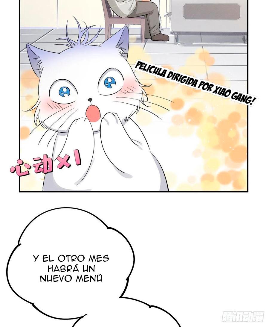 Tengo que trabajar duro para ser un gato hoy! - capitulo 15 manhwa