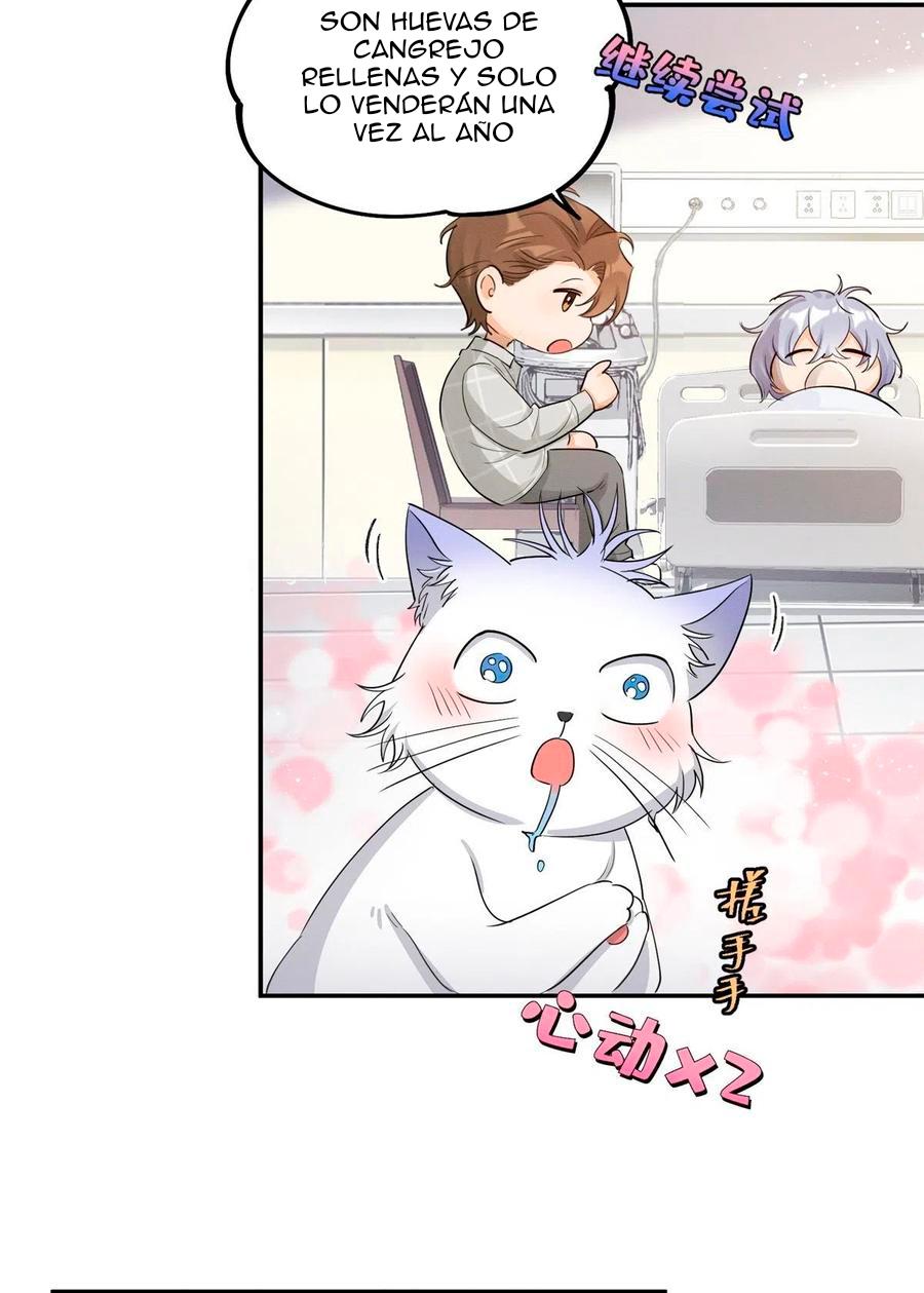Tengo que trabajar duro para ser un gato hoy! - capitulo 15 manhwa