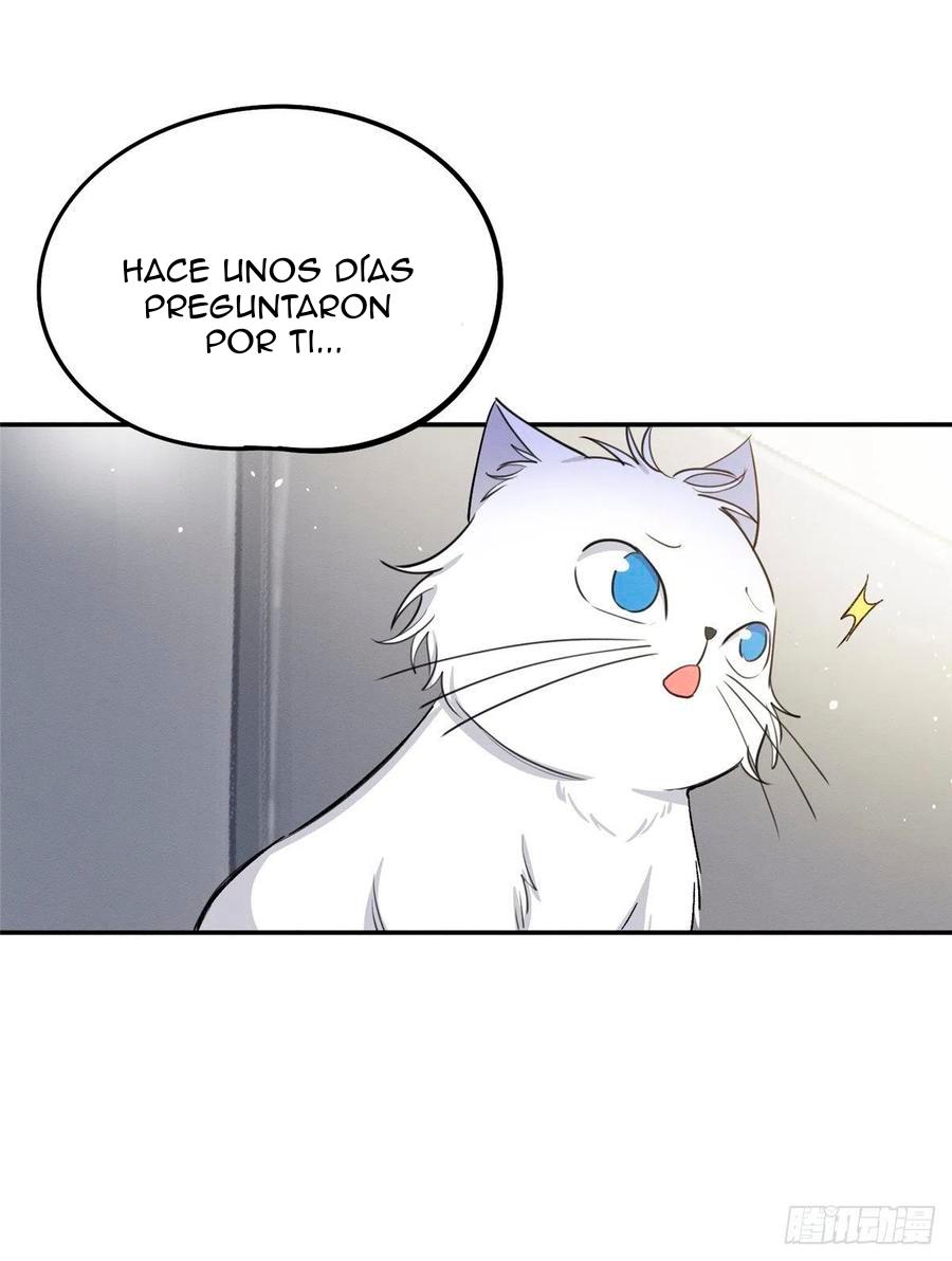 Tengo que trabajar duro para ser un gato hoy! - capitulo 15 manhwa