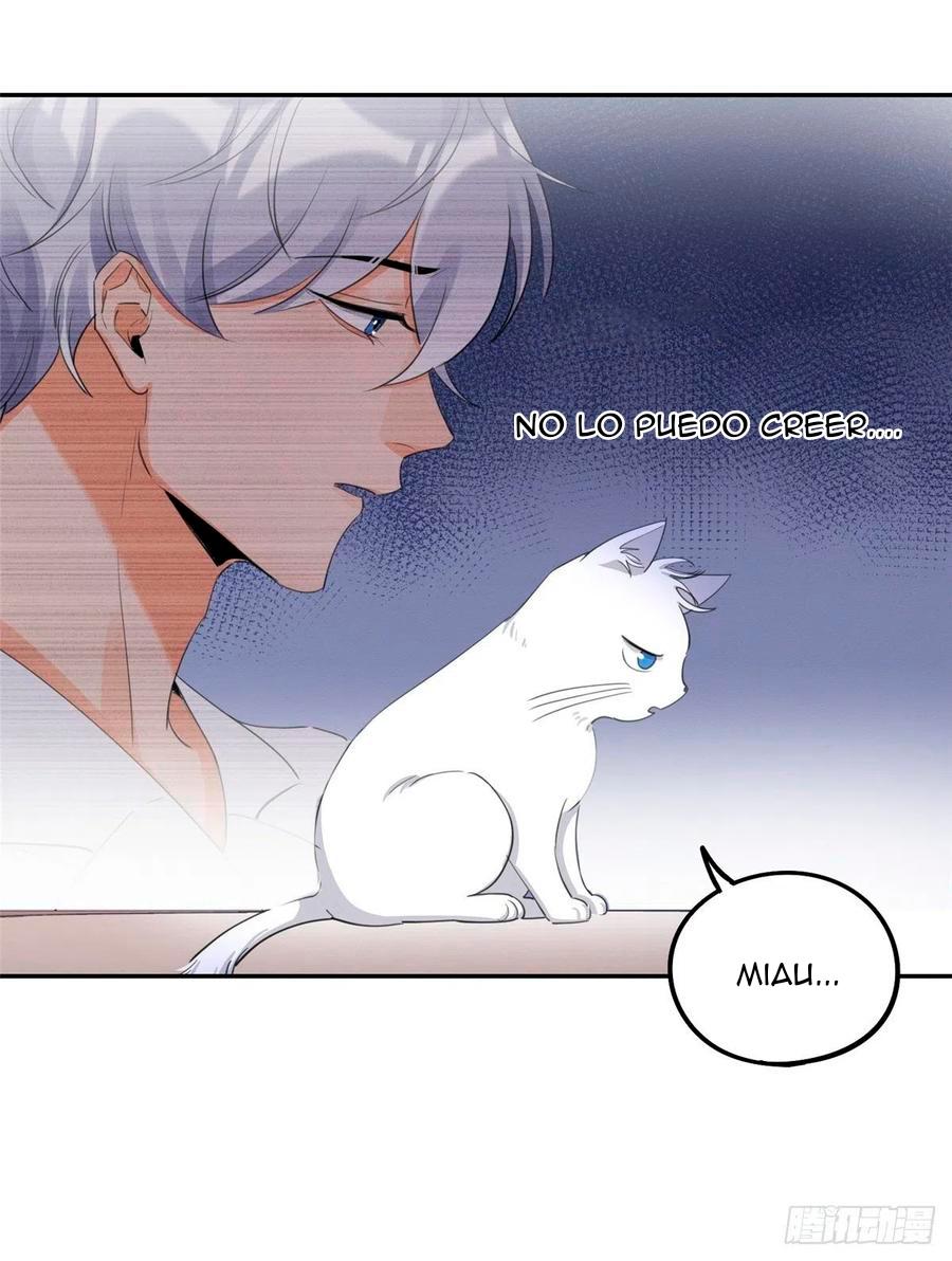Tengo que trabajar duro para ser un gato hoy! - capitulo 15 manhwa