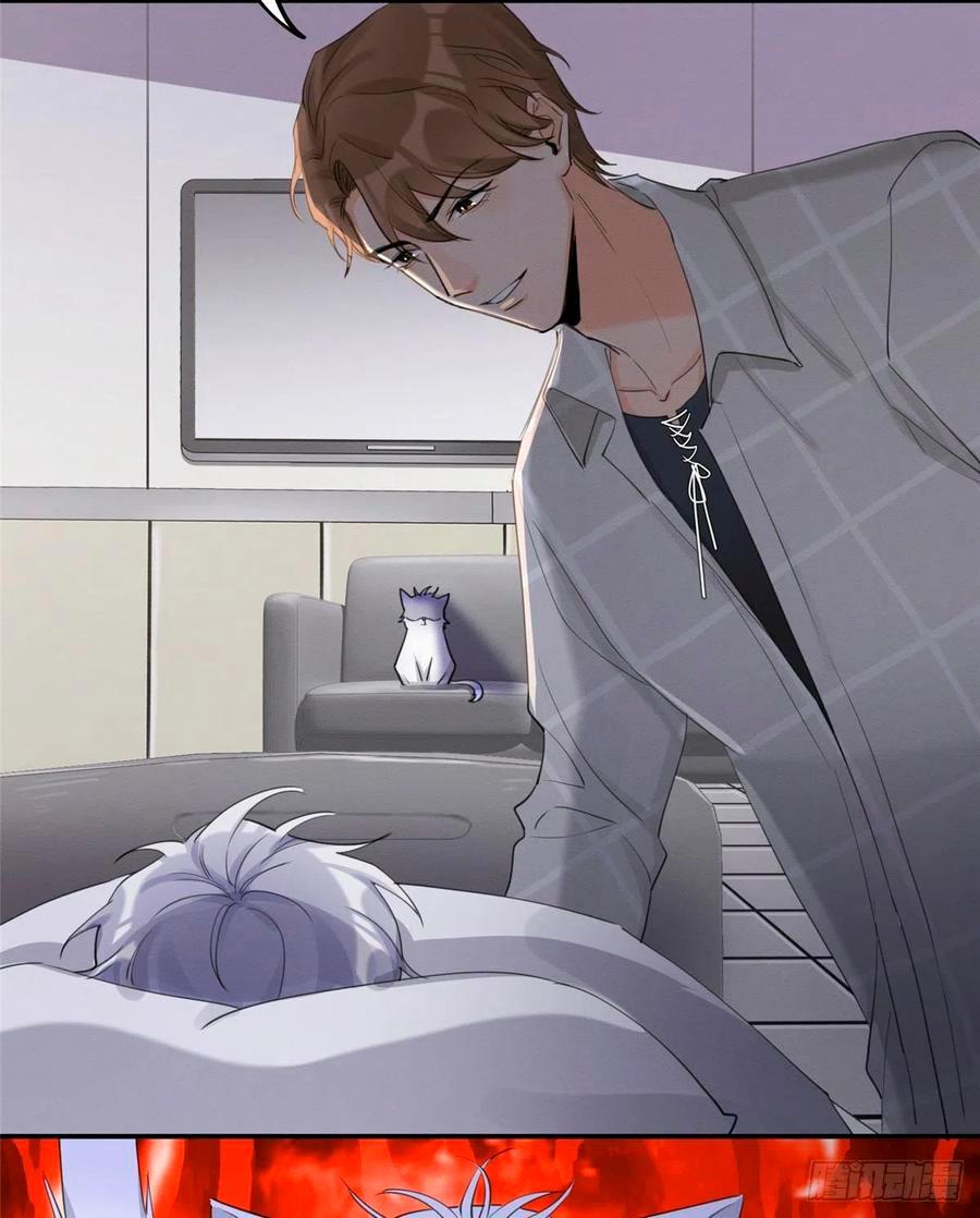 Tengo que trabajar duro para ser un gato hoy! - capitulo 15 manhwa