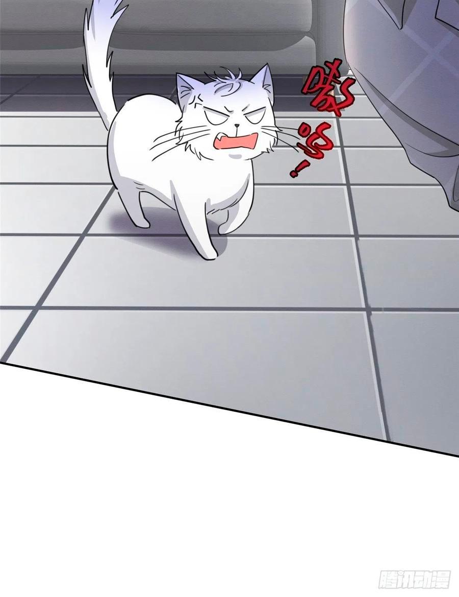 Tengo que trabajar duro para ser un gato hoy! - capitulo 15 manhwa
