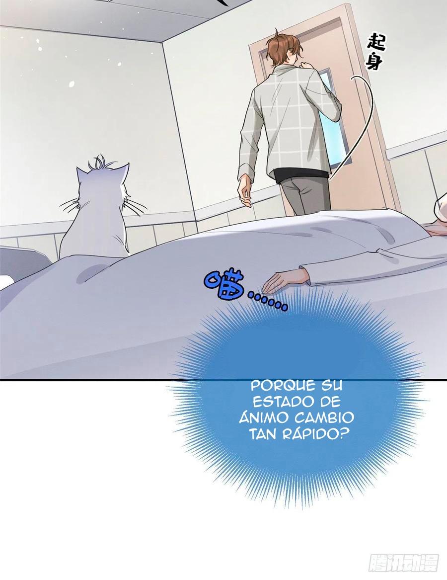 Tengo que trabajar duro para ser un gato hoy! - capitulo 15 manhwa