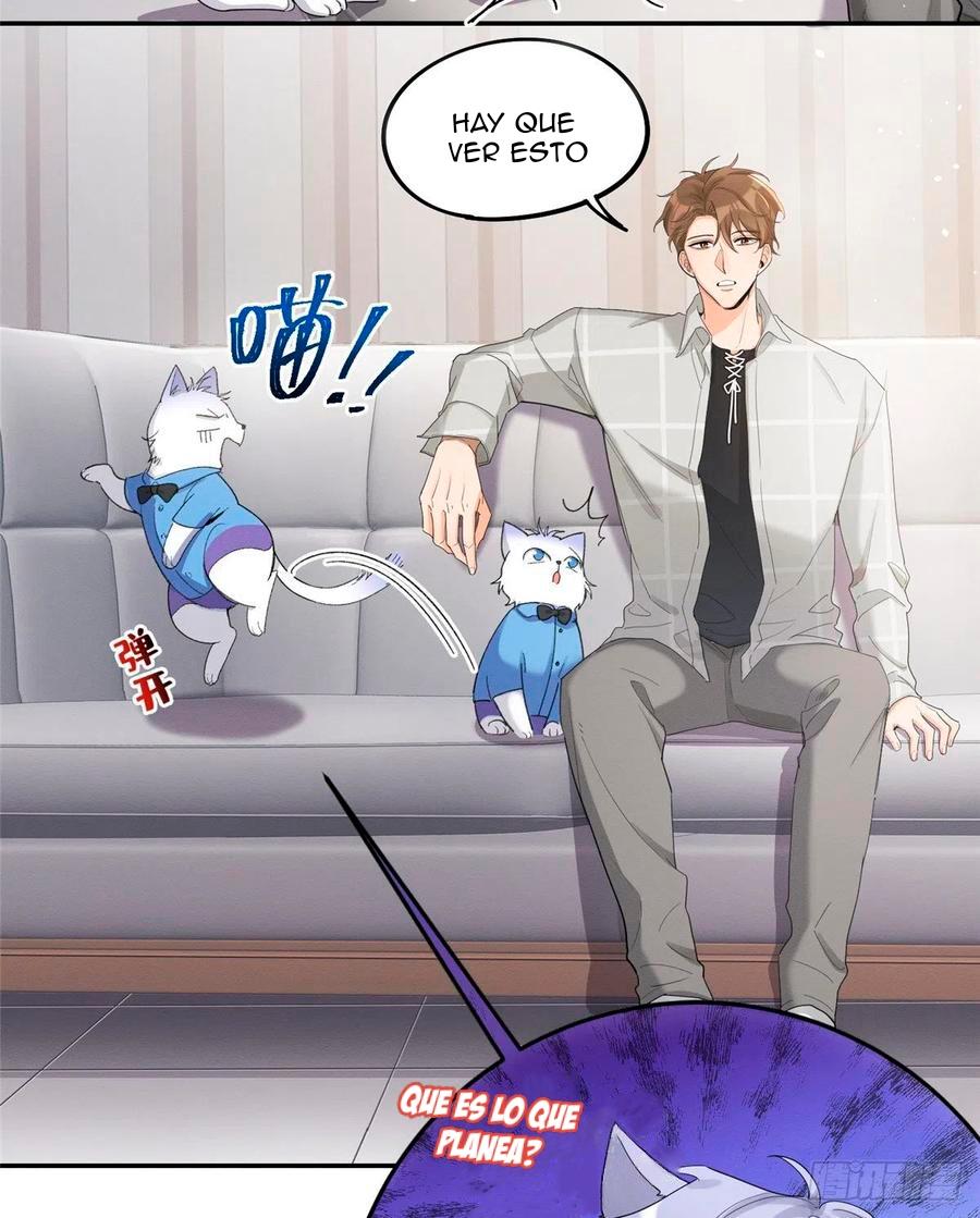 Tengo que trabajar duro para ser un gato hoy! - capitulo 15 manhwa