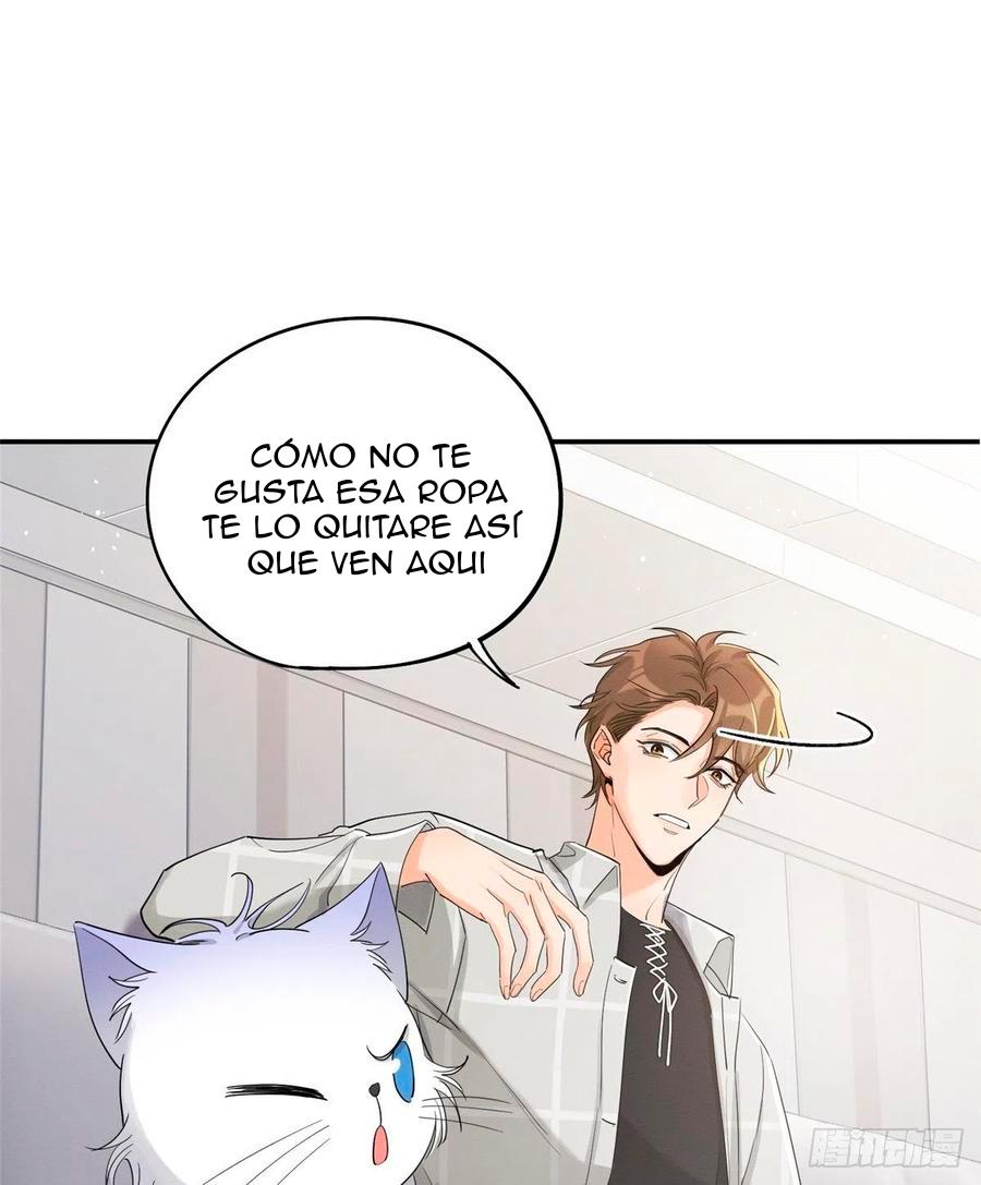 Tengo que trabajar duro para ser un gato hoy! - capitulo 15 manhwa