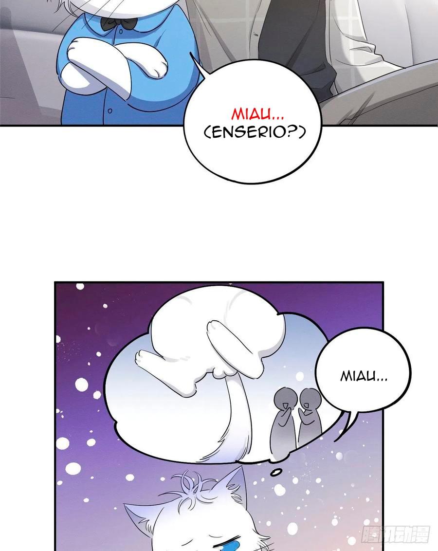 Tengo que trabajar duro para ser un gato hoy! - capitulo 15 manhwa