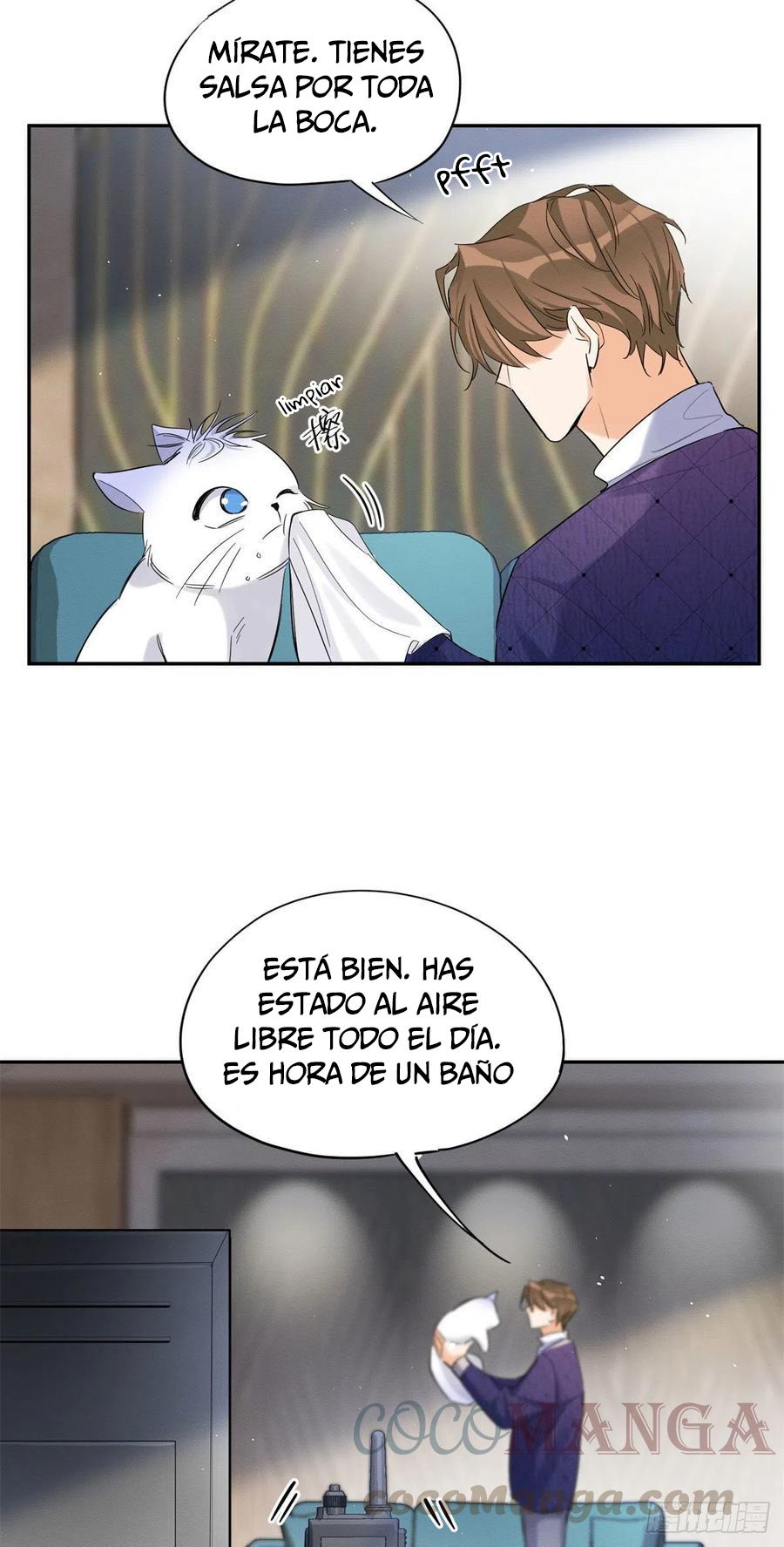 Tengo que trabajar duro para ser un gato hoy! - capitulo 43 manhwa