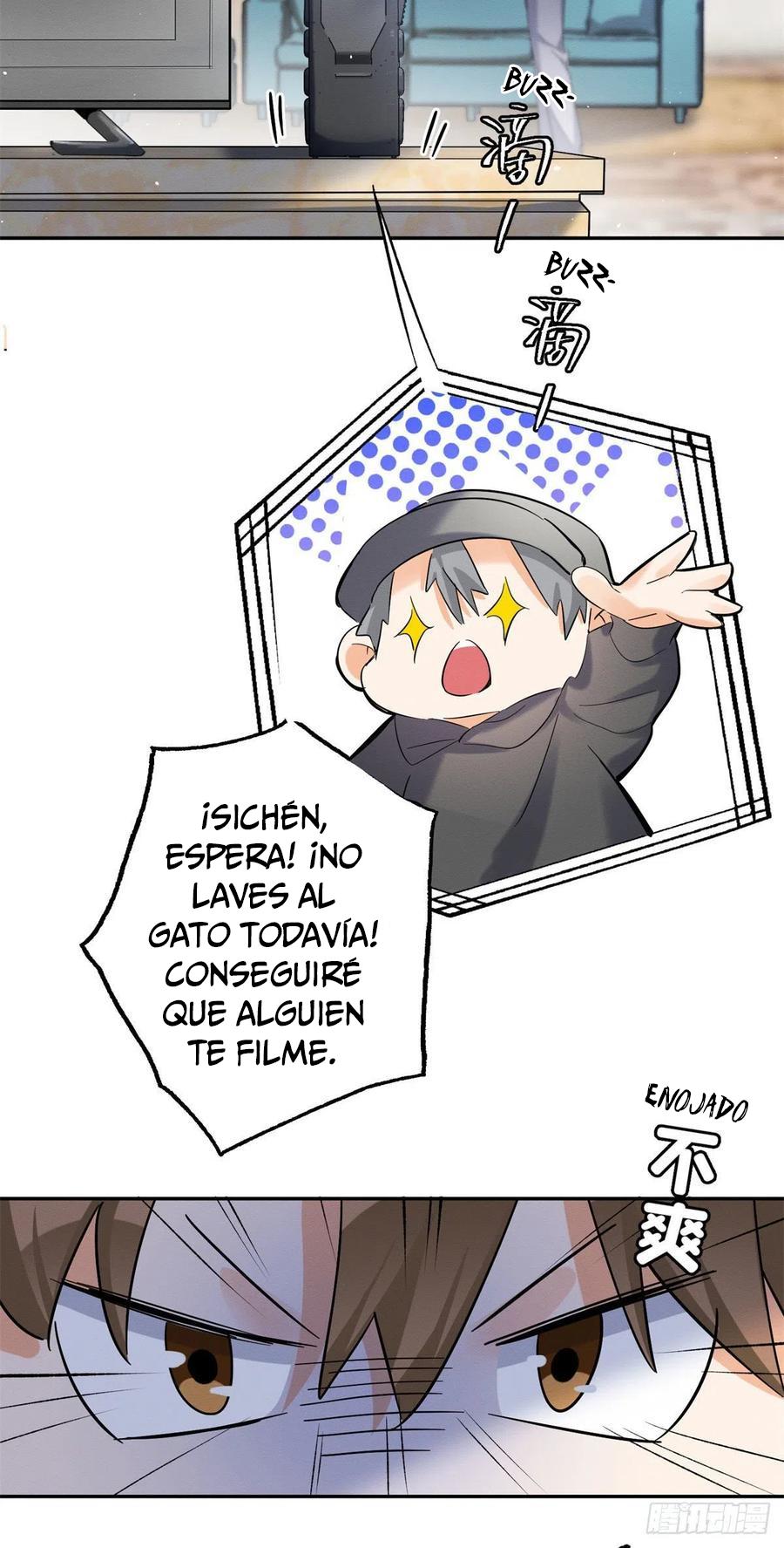 Tengo que trabajar duro para ser un gato hoy! - capitulo 43 manhwa