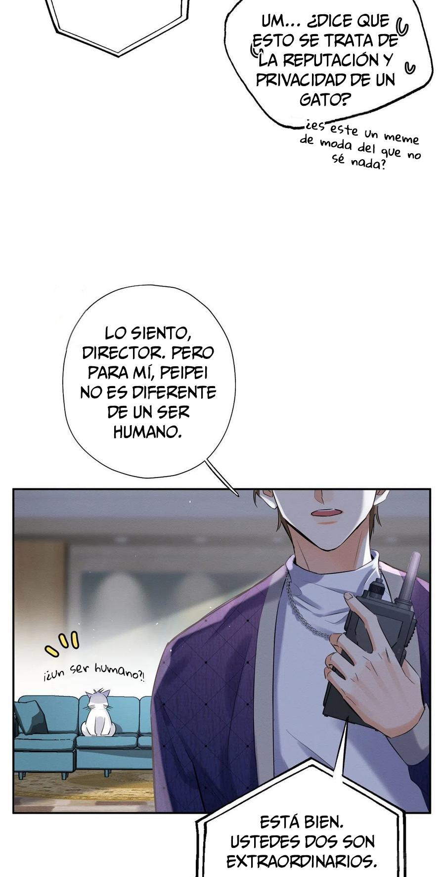 Tengo que trabajar duro para ser un gato hoy! - capitulo 43 manhwa