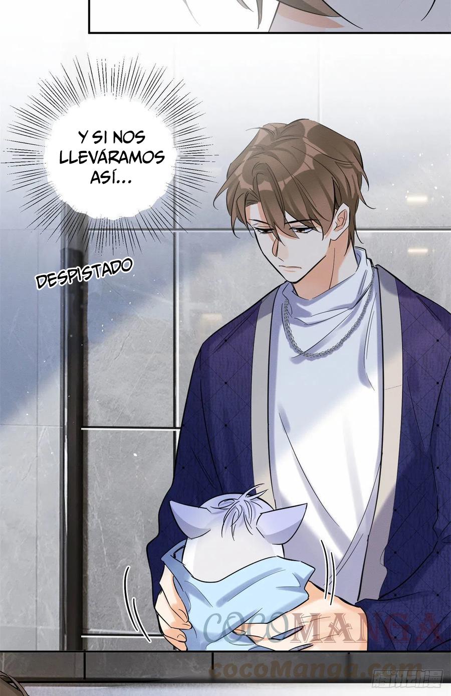 Tengo que trabajar duro para ser un gato hoy! - capitulo 43 manhwa