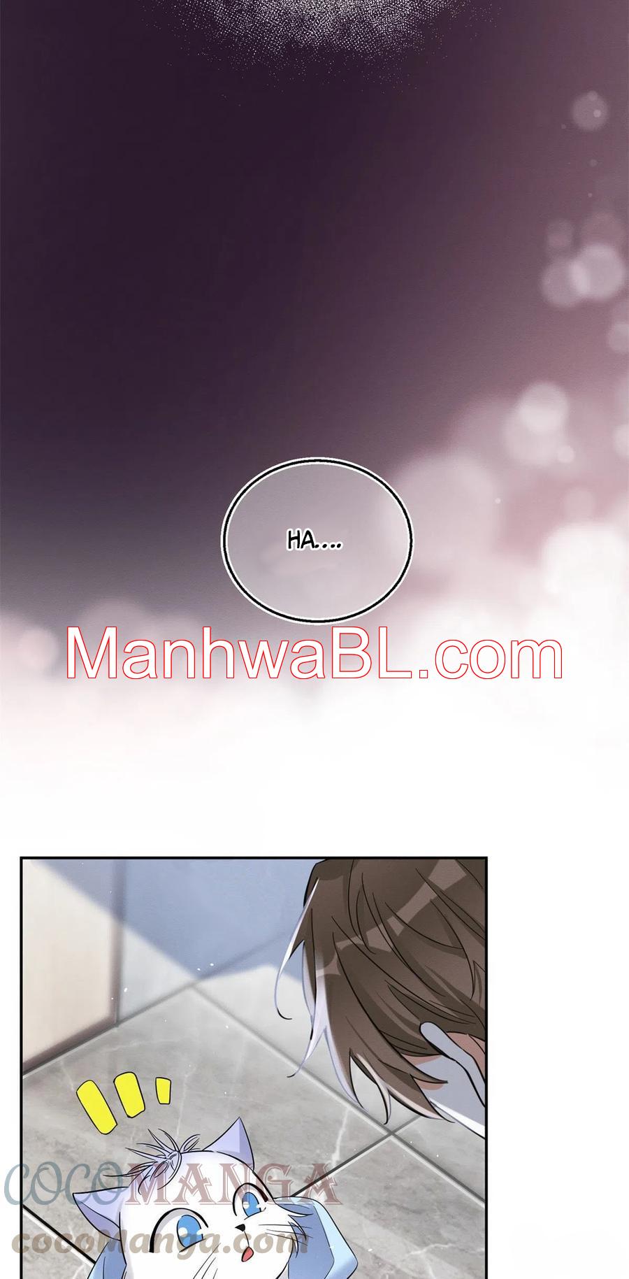 Tengo que trabajar duro para ser un gato hoy! - capitulo 43 manhwa