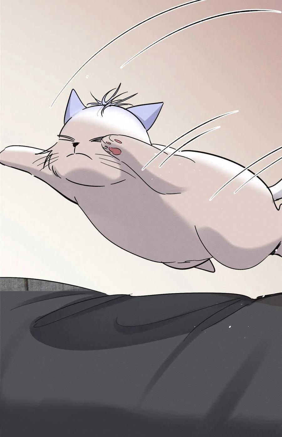 Tengo que trabajar duro para ser un gato hoy! - capitulo 46 manhwa