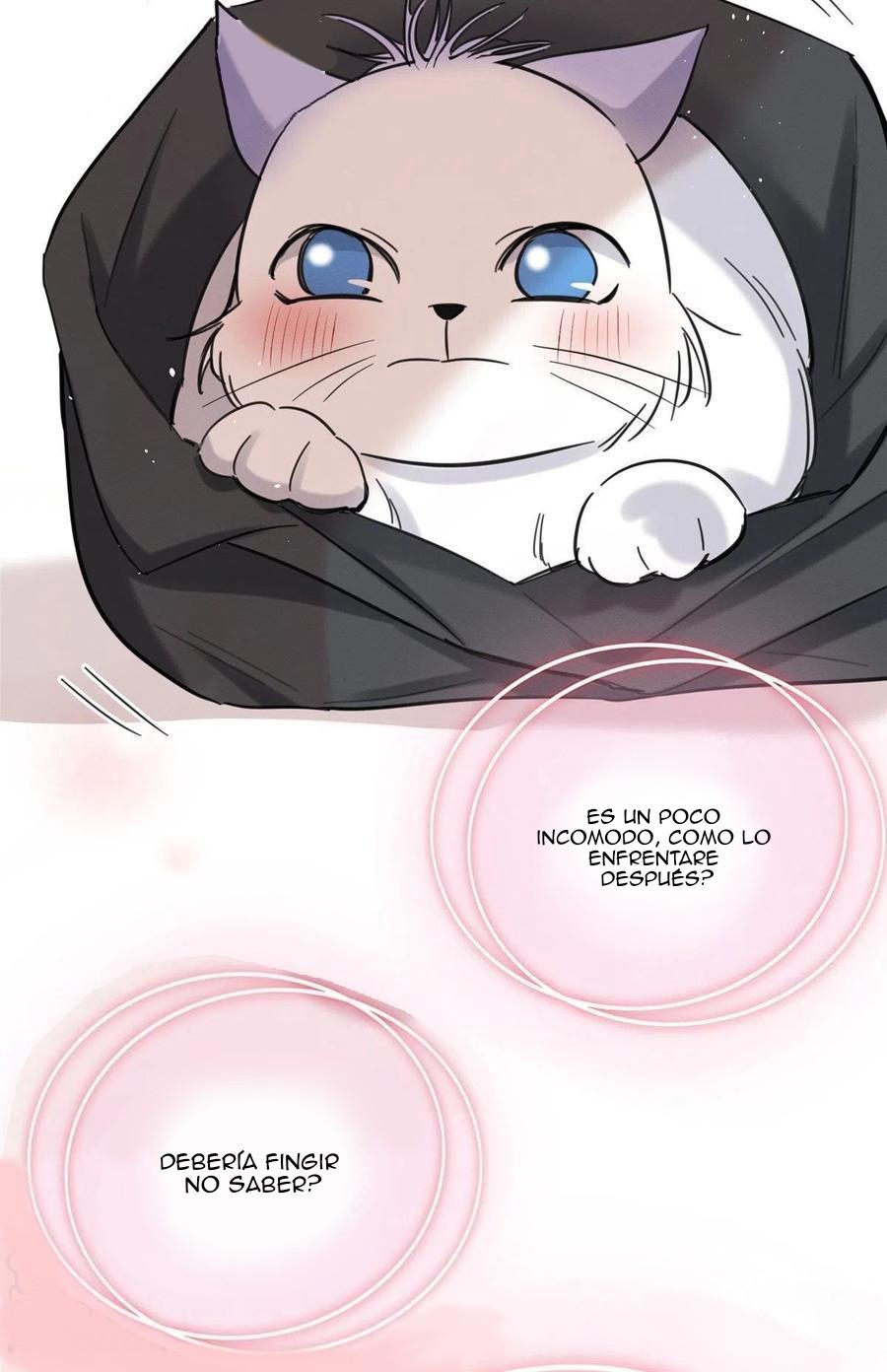 Tengo que trabajar duro para ser un gato hoy! - capitulo 46 manhwa