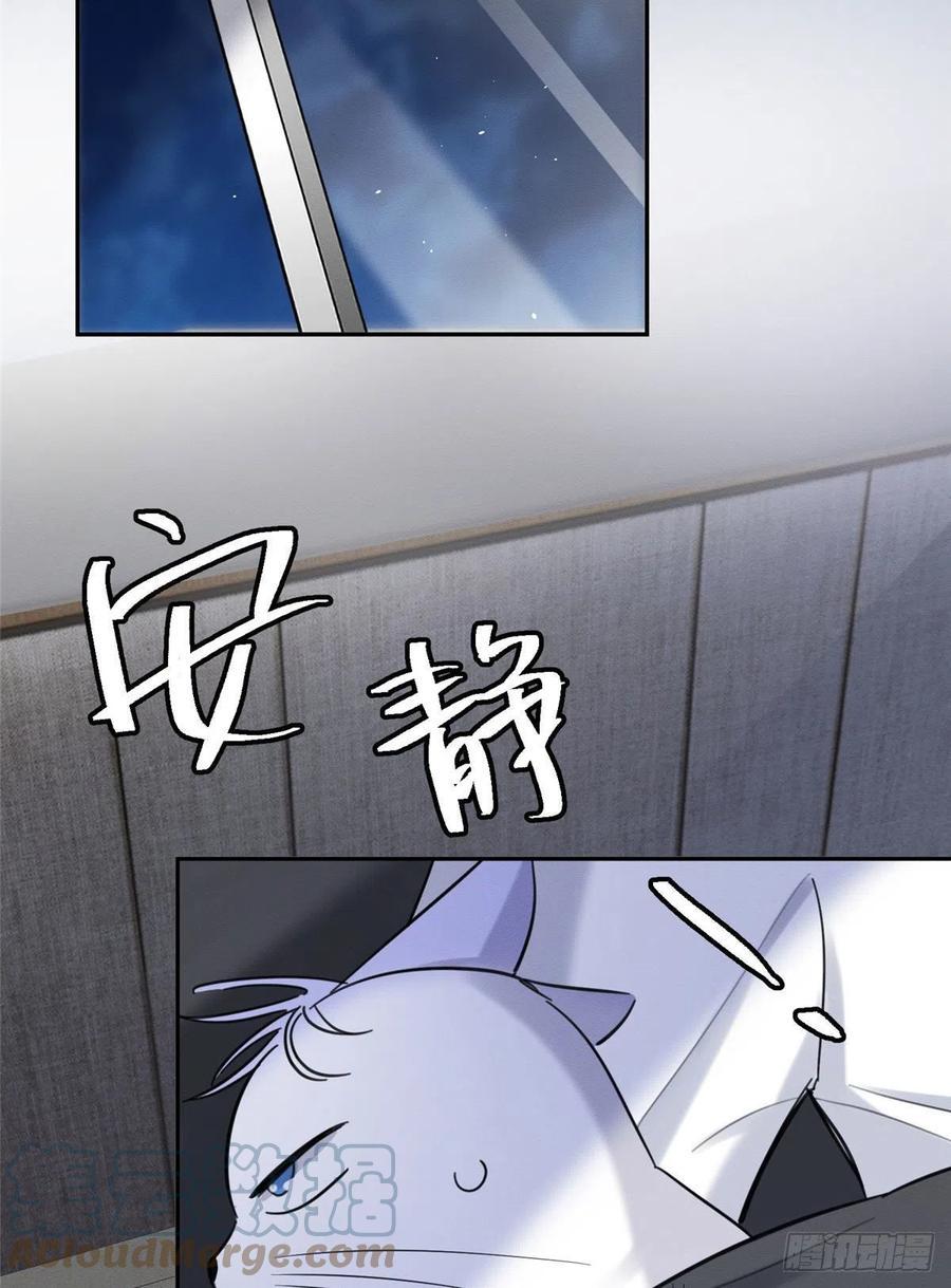 Tengo que trabajar duro para ser un gato hoy! - capitulo 46 manhwa