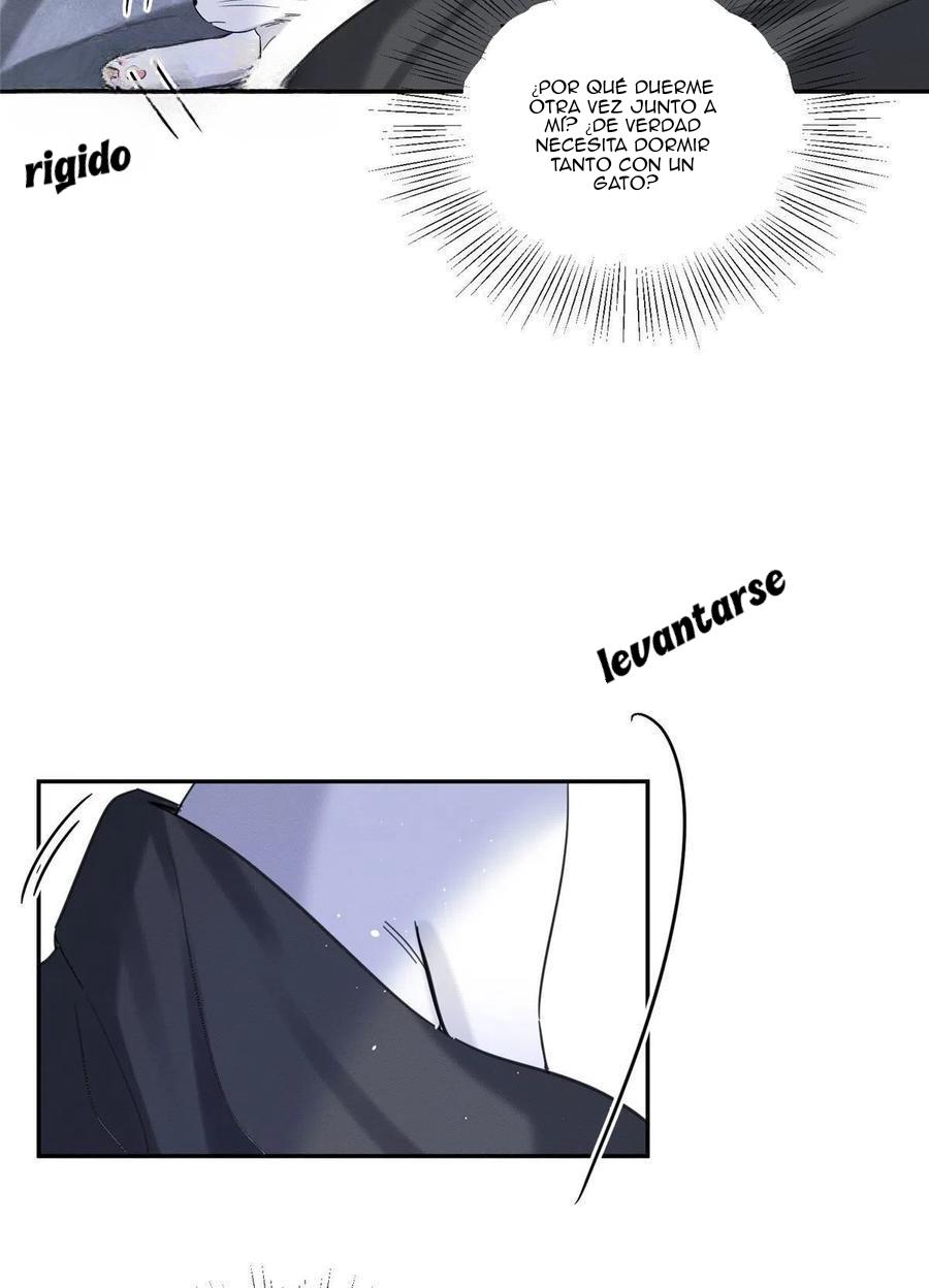 Tengo que trabajar duro para ser un gato hoy! - capitulo 46 manhwa