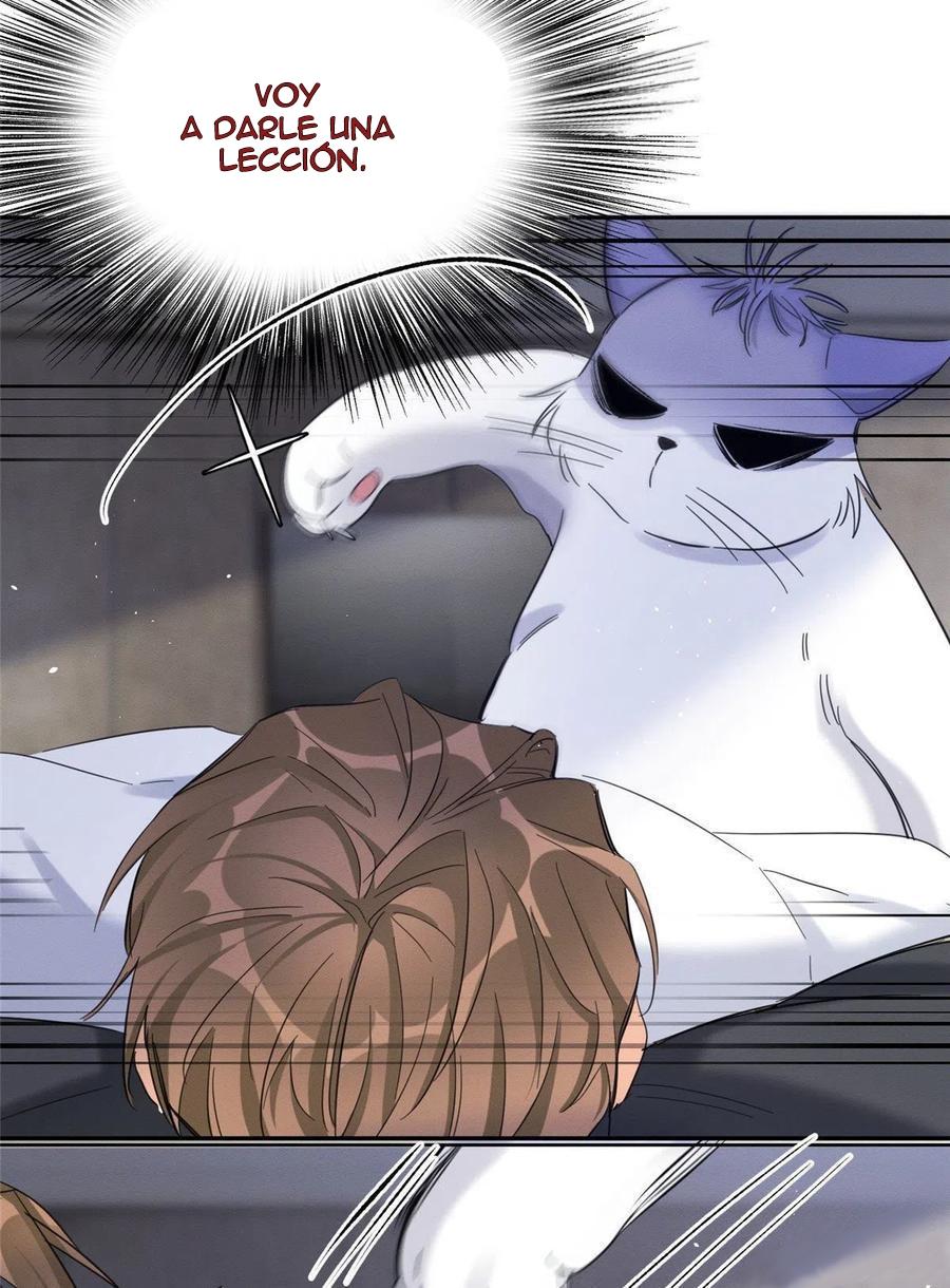 Tengo que trabajar duro para ser un gato hoy! - capitulo 46 manhwa