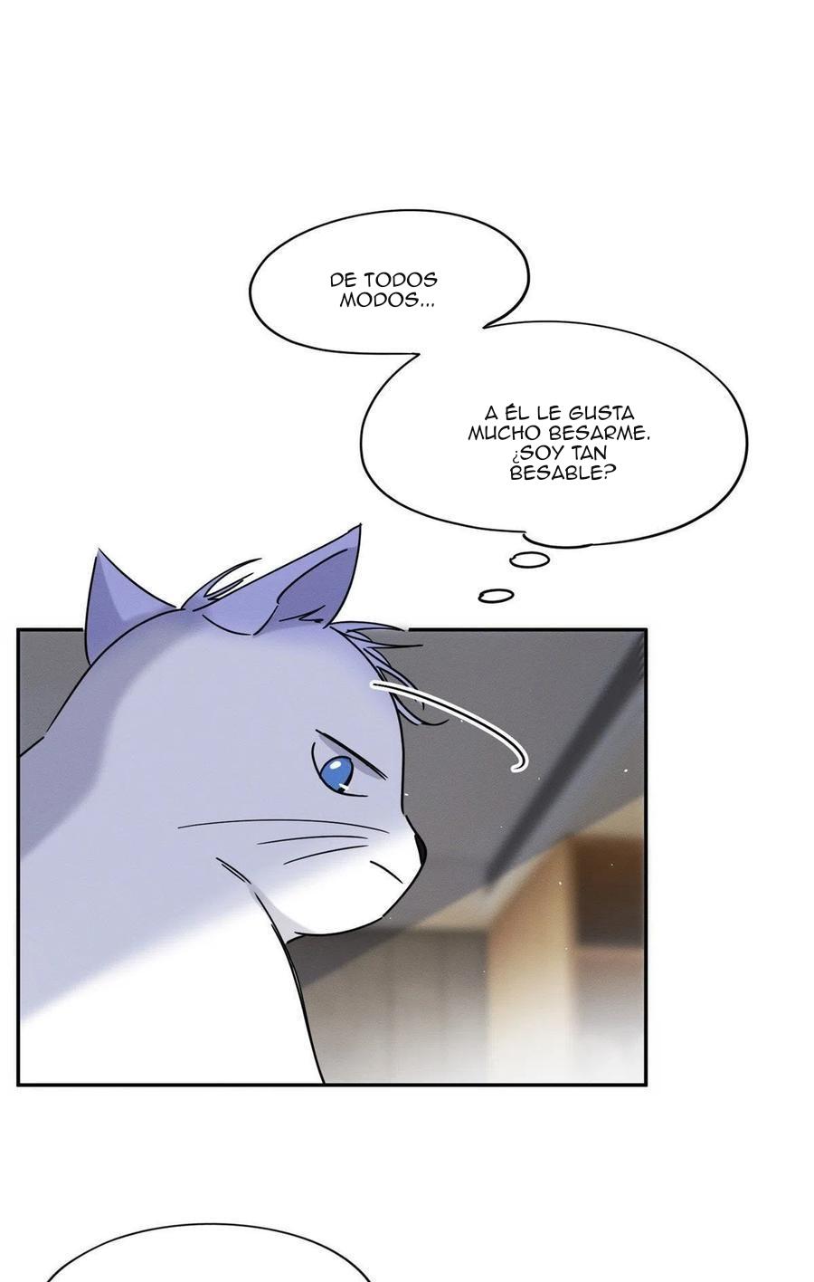 Tengo que trabajar duro para ser un gato hoy! - capitulo 46 manhwa