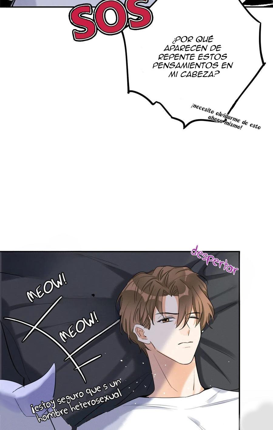 Tengo que trabajar duro para ser un gato hoy! - capitulo 46 manhwa