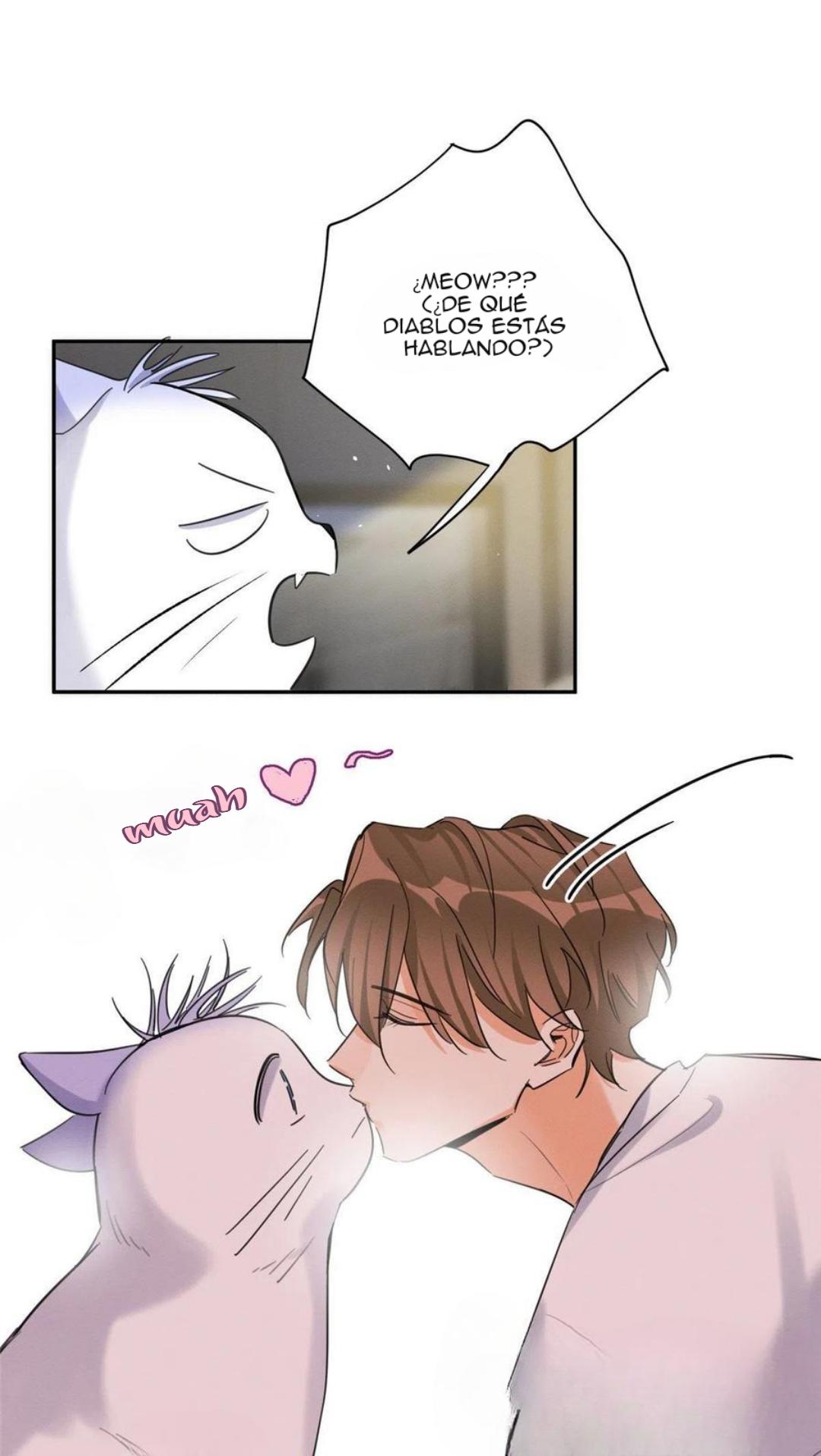 Tengo que trabajar duro para ser un gato hoy! - capitulo 46 manhwa