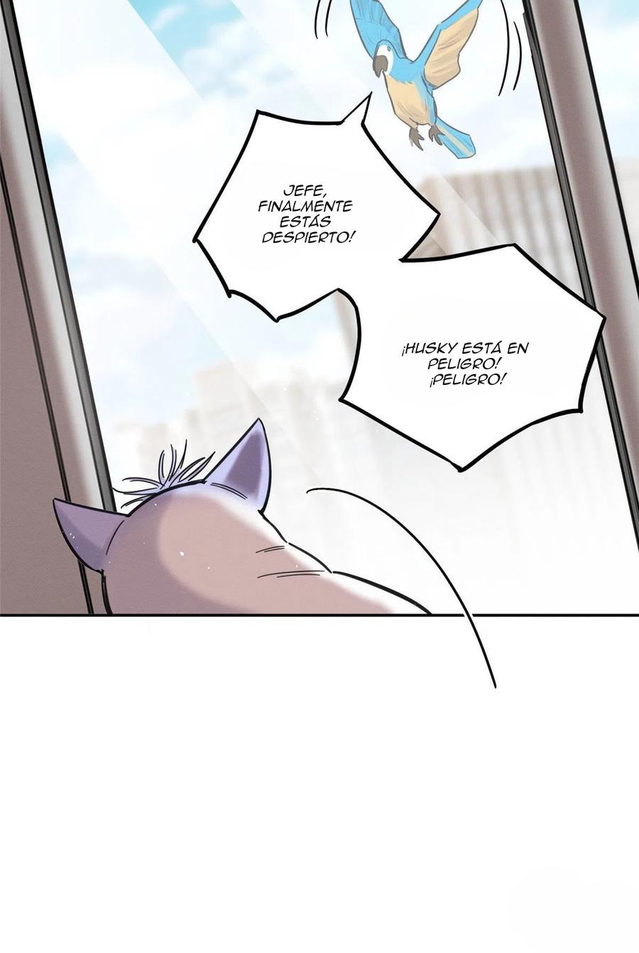 Tengo que trabajar duro para ser un gato hoy! - capitulo 46 manhwa