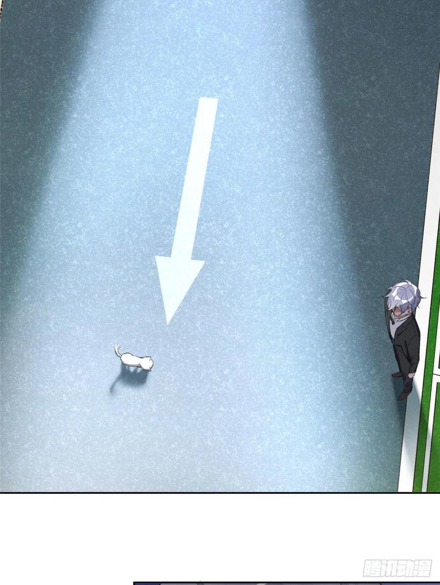Tengo que trabajar duro para ser un gato hoy! - capitulo 1 manhwa
