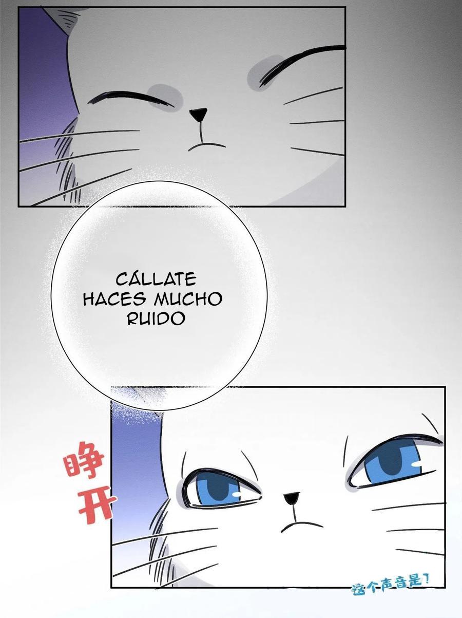 Tengo que trabajar duro para ser un gato hoy! - capitulo 1 manhwa