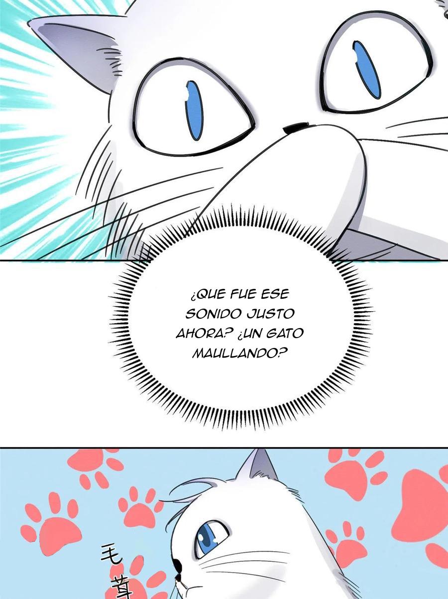 Tengo que trabajar duro para ser un gato hoy! - capitulo 1 manhwa