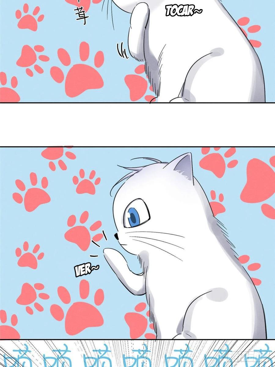 Tengo que trabajar duro para ser un gato hoy! - capitulo 1 manhwa