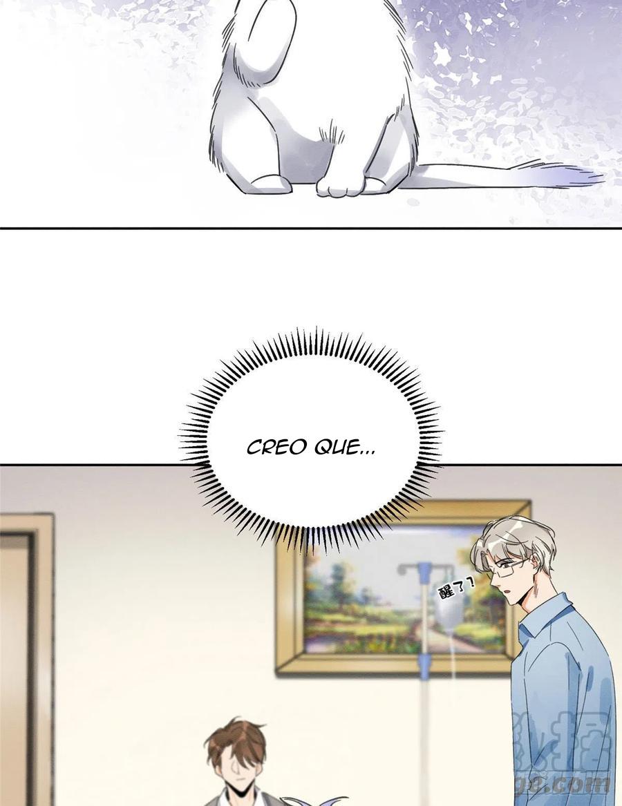 Tengo que trabajar duro para ser un gato hoy! - capitulo 1 manhwa