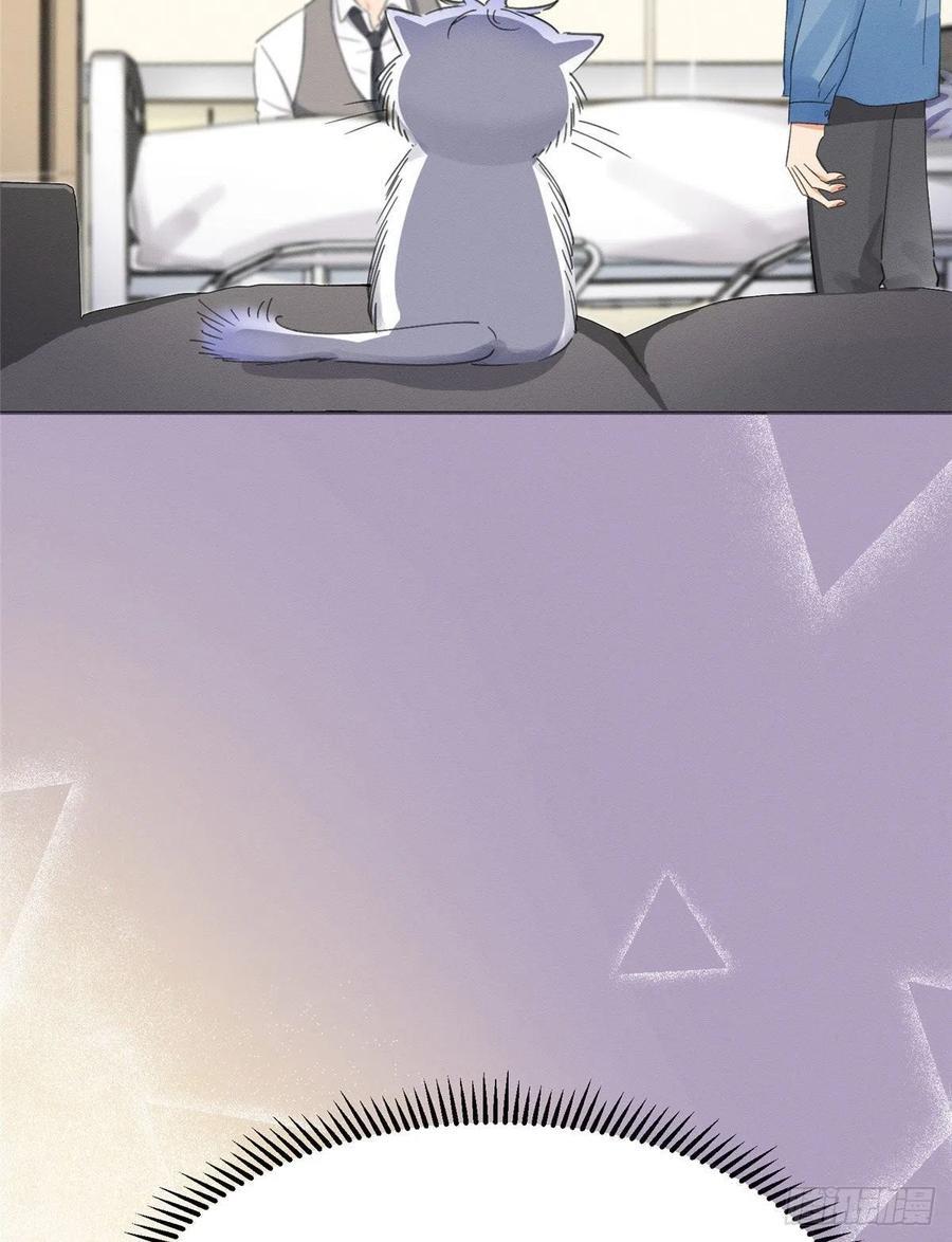 Tengo que trabajar duro para ser un gato hoy! - capitulo 1 manhwa
