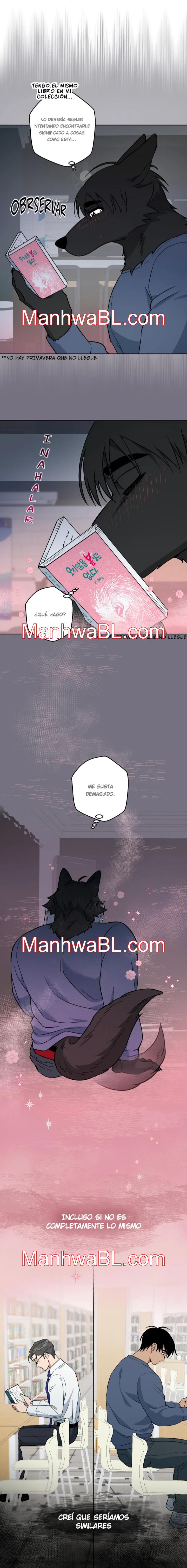 ¡Imposible! ¿¡Realmente no lo sabes!? - Capítulo 17 manhwa
