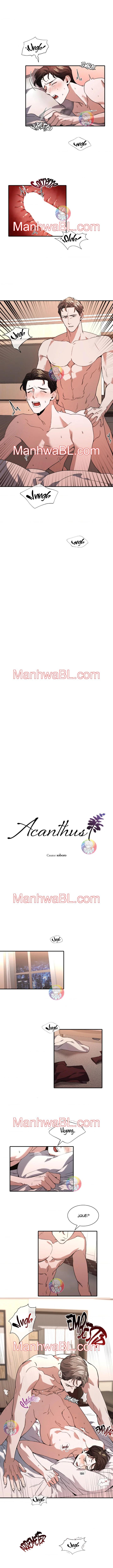 Acanthus - Capítulo 8 manhwa