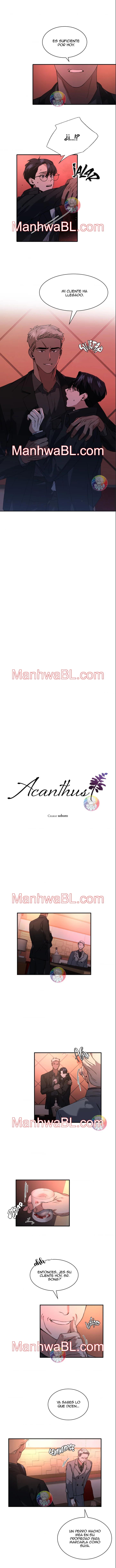 Acanthus - Capítulo 7 manhwa