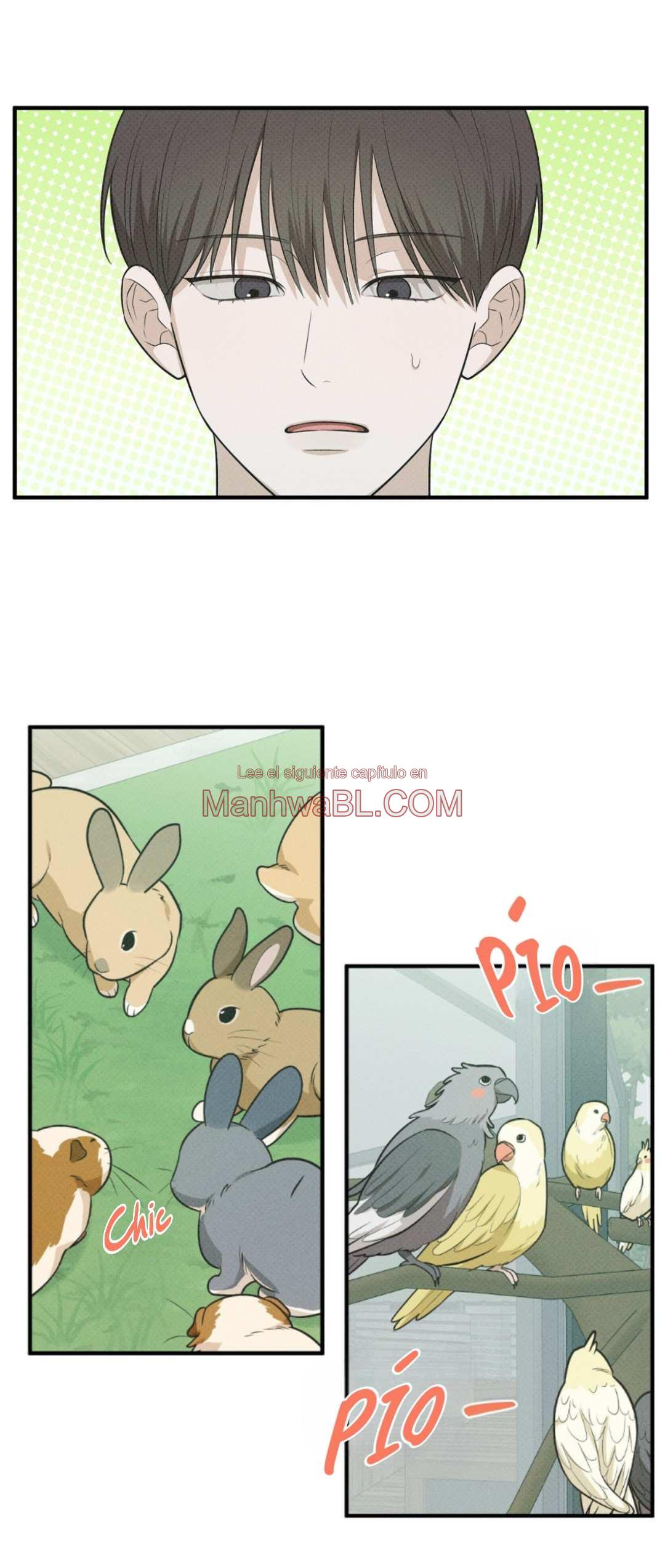 Área de investigación de errores - Capítulo 33 manhwa
