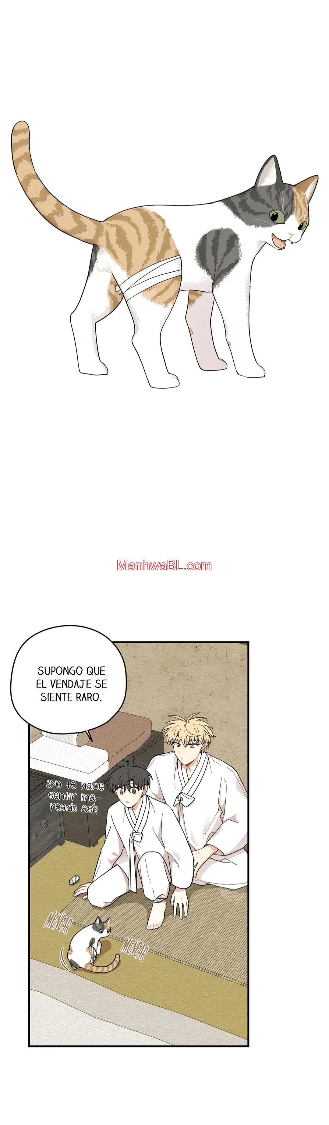 El camino donde cayó la forsitia - Capítulo 56 2 manhwa