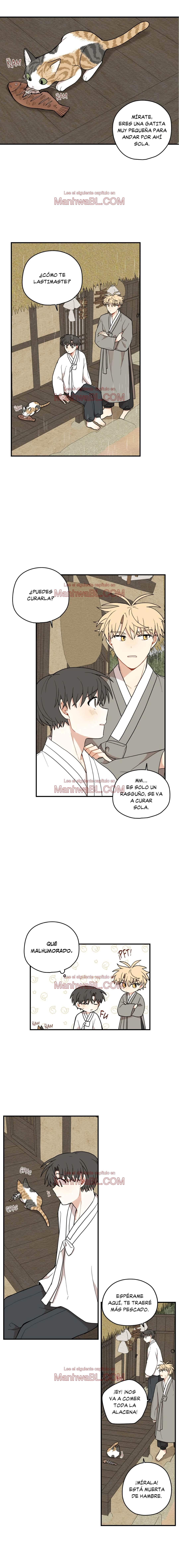 El camino donde cayó la forsitia - Capítulo 62 3 manhwa