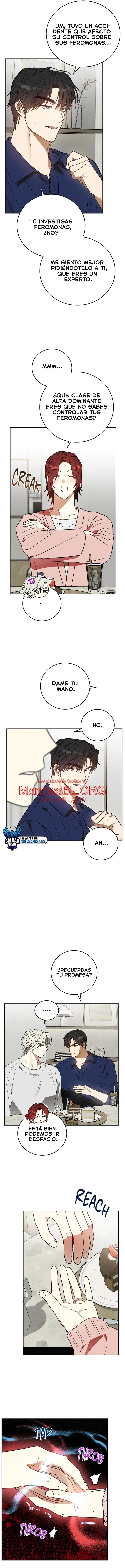 Confusión - Capítulo 8 manhwa