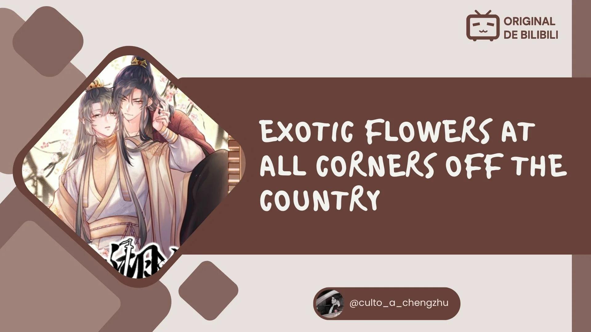 Personajes exóticos en cada esquina del mundo marcial - Capítulo 15 manhwa