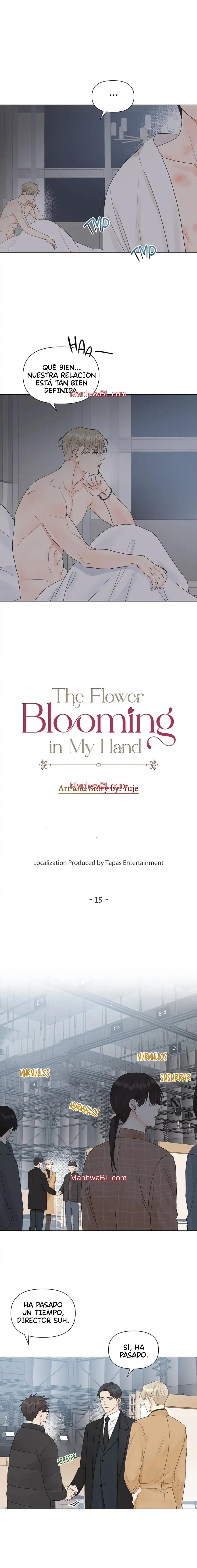 The Flower Blooming in My Hand - Capítulo 15 manhwa