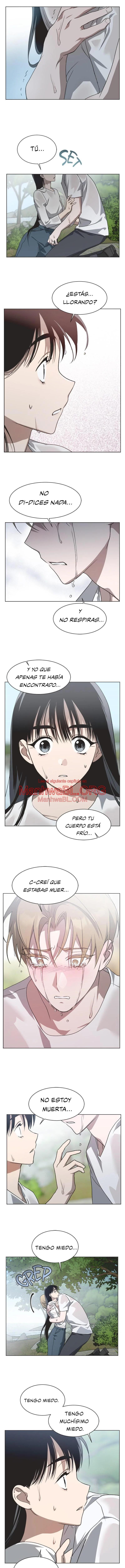 Historia De La Cenicienta Imperfecta - Capítulo 73 manhwa