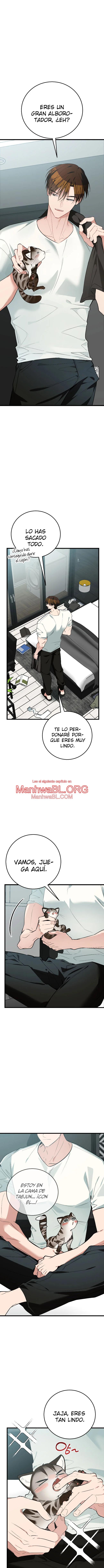 ¡Dame un cachorro de gato montés, si no quieres verme enloquecer! - Capítulo 8 2 manhwa
